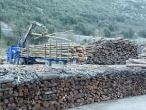 Bois de chauffage sec et dur